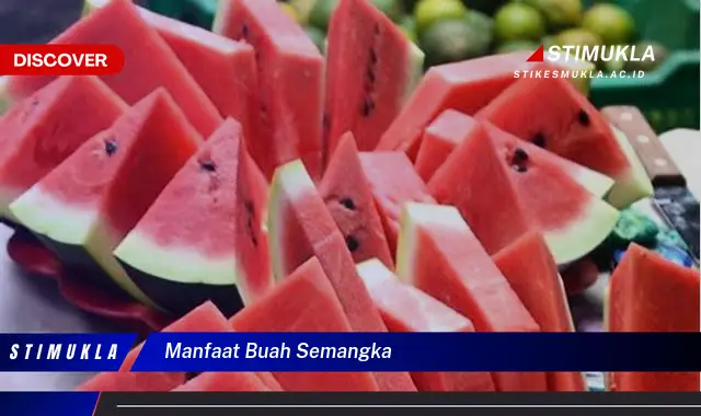 manfaat buah semangka