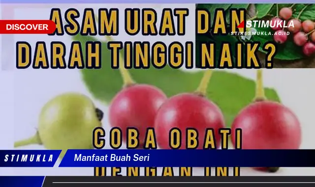 manfaat buah seri