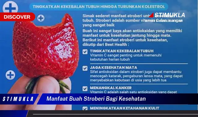 Temukan 8 Manfaat Stroberi yang Bikin Kamu Penasaran untuk Kesehatan