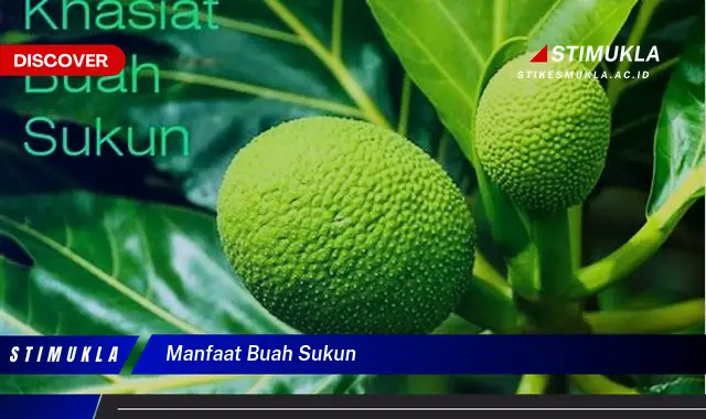 manfaat buah sukun