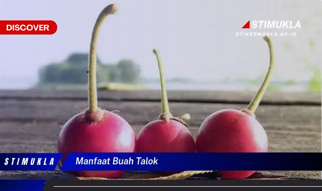 manfaat buah talok