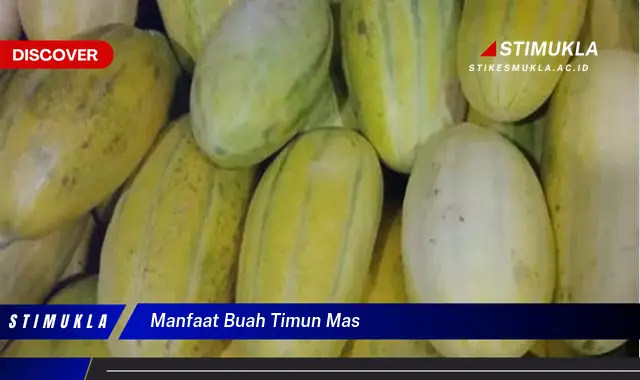 manfaat buah timun mas