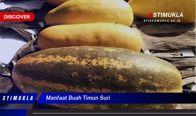 manfaat buah timun suri