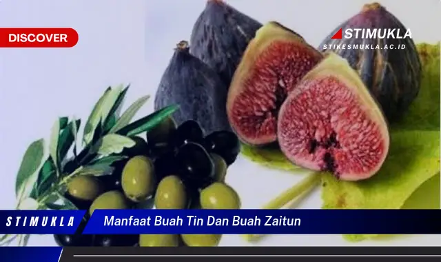 manfaat buah tin dan buah zaitun