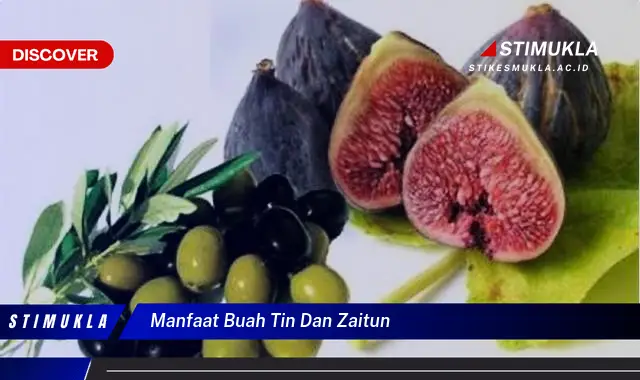 manfaat buah tin dan zaitun