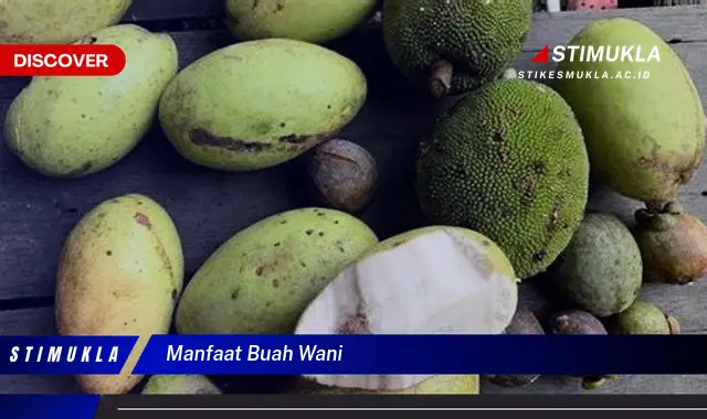 manfaat buah wani