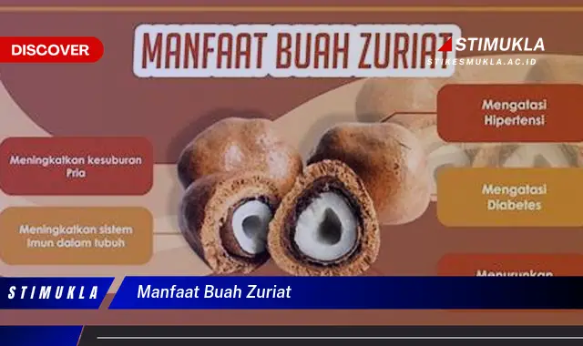 manfaat buah zuriat