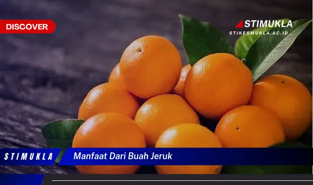 manfaat dari buah jeruk