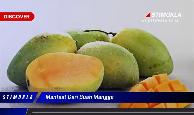 manfaat dari buah mangga