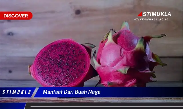 manfaat dari buah naga