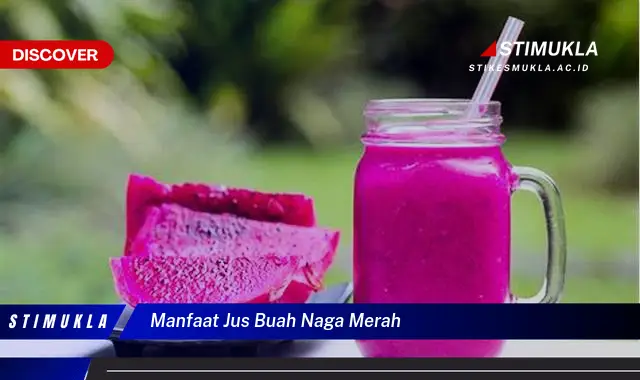 manfaat jus buah naga merah