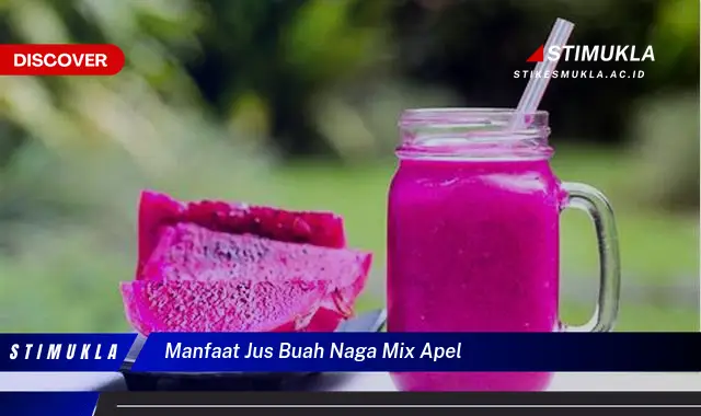 manfaat jus buah naga mix apel