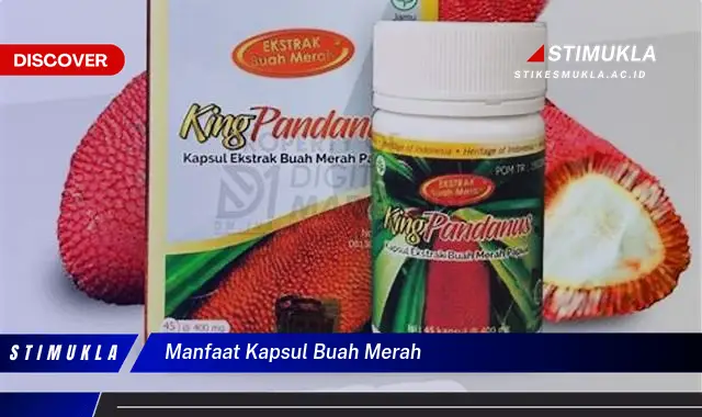 manfaat kapsul buah merah