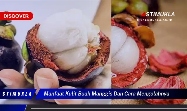 manfaat kulit buah manggis dan cara mengolahnya