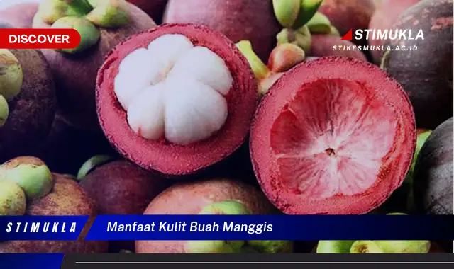 manfaat kulit buah manggis