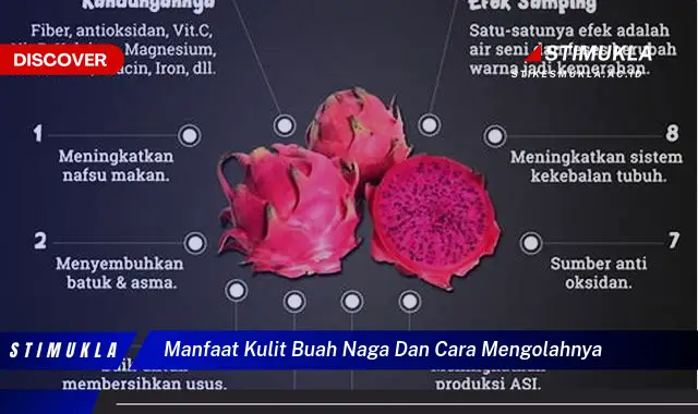 manfaat kulit buah naga dan cara mengolahnya