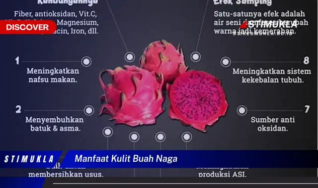 manfaat kulit buah naga