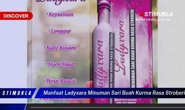 manfaat ladyxara minuman sari buah kurma rasa stroberi