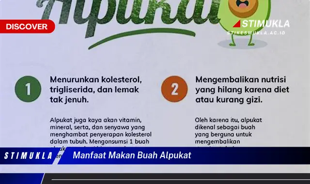 manfaat makan buah alpukat