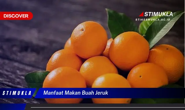 manfaat makan buah jeruk