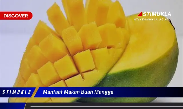 manfaat makan buah mangga