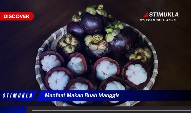 manfaat makan buah manggis