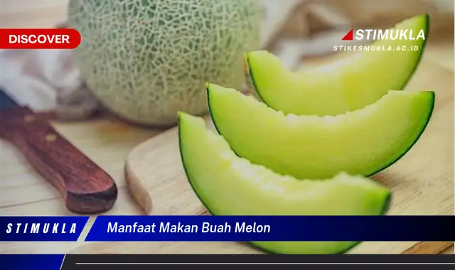 manfaat makan buah melon