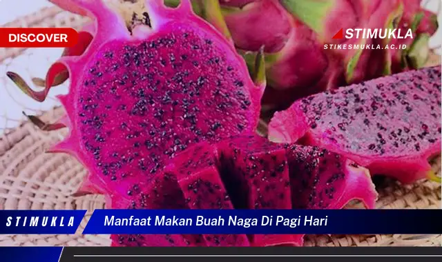 manfaat makan buah naga di pagi hari