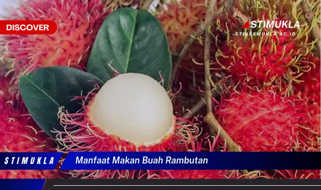 manfaat makan buah rambutan