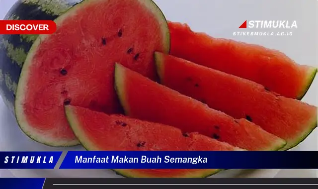 manfaat makan buah semangka