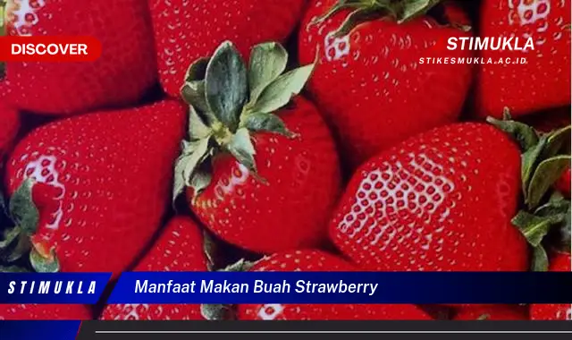 manfaat makan buah strawberry