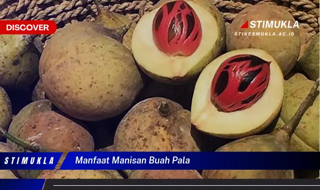 manfaat manisan buah pala