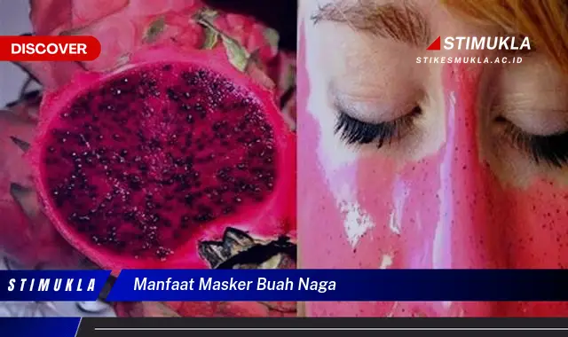 manfaat masker buah naga