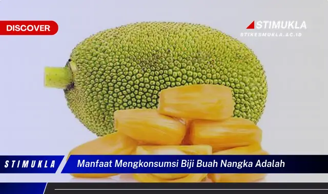 manfaat mengkonsumsi biji buah nangka adalah