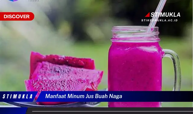 manfaat minum jus buah naga