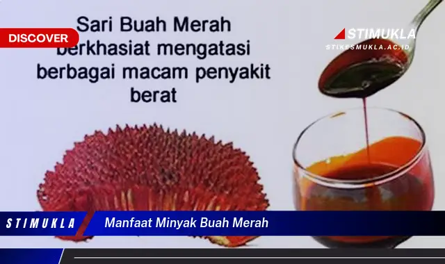 manfaat minyak buah merah