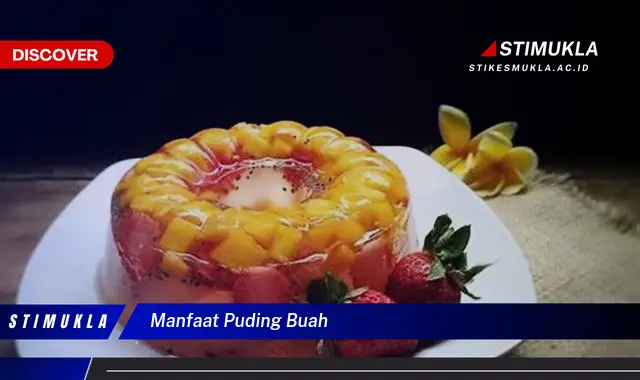 manfaat puding buah