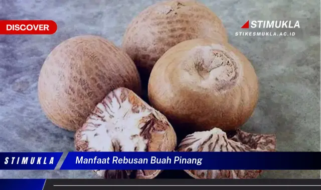 manfaat rebusan buah pinang