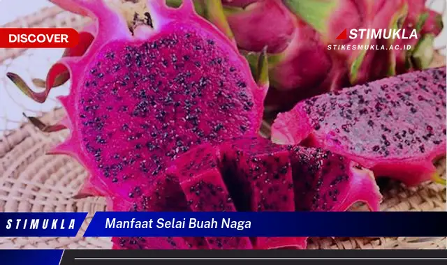 manfaat selai buah naga