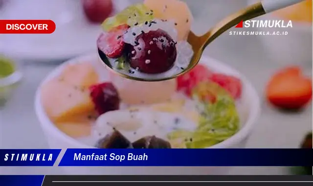 manfaat sop buah