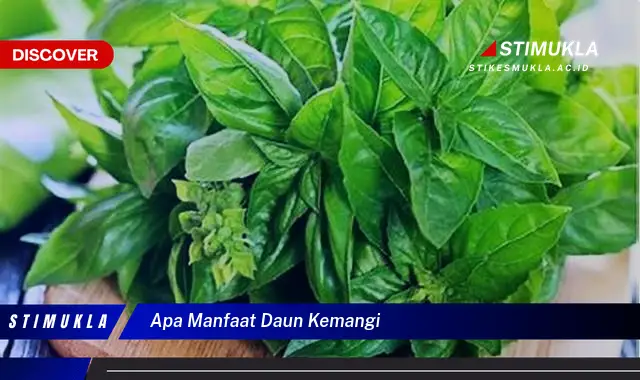 apa manfaat daun kemangi