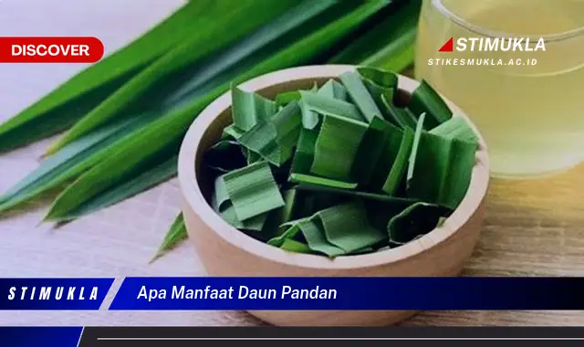 apa manfaat daun pandan