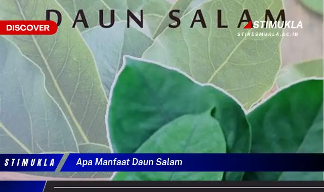 apa manfaat daun salam