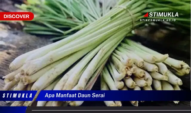 apa manfaat daun serai