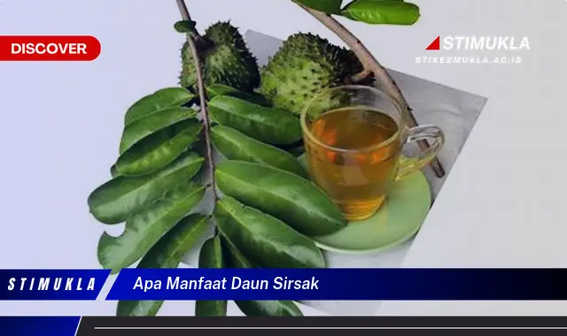 apa manfaat daun sirsak