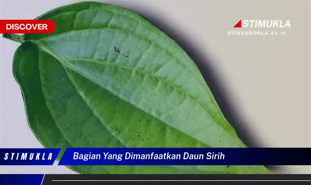 bagian yang dimanfaatkan daun sirih