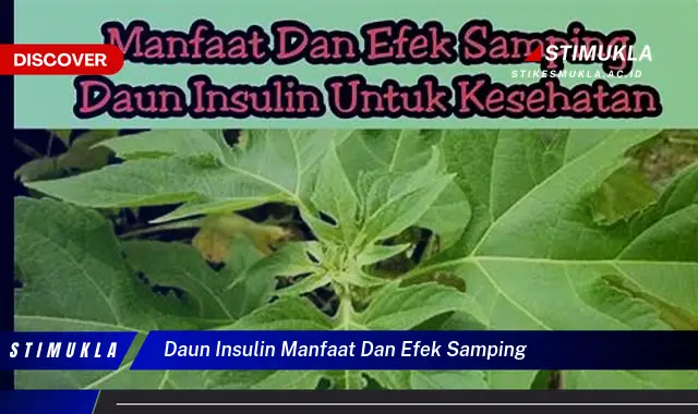 daun insulin manfaat dan efek samping