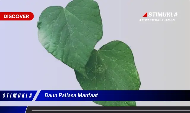 daun paliasa manfaat