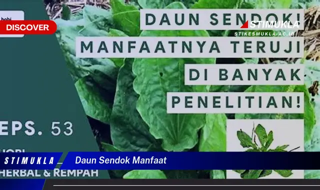 daun sendok manfaat