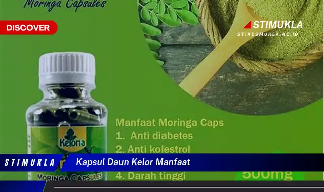 kapsul daun kelor manfaat